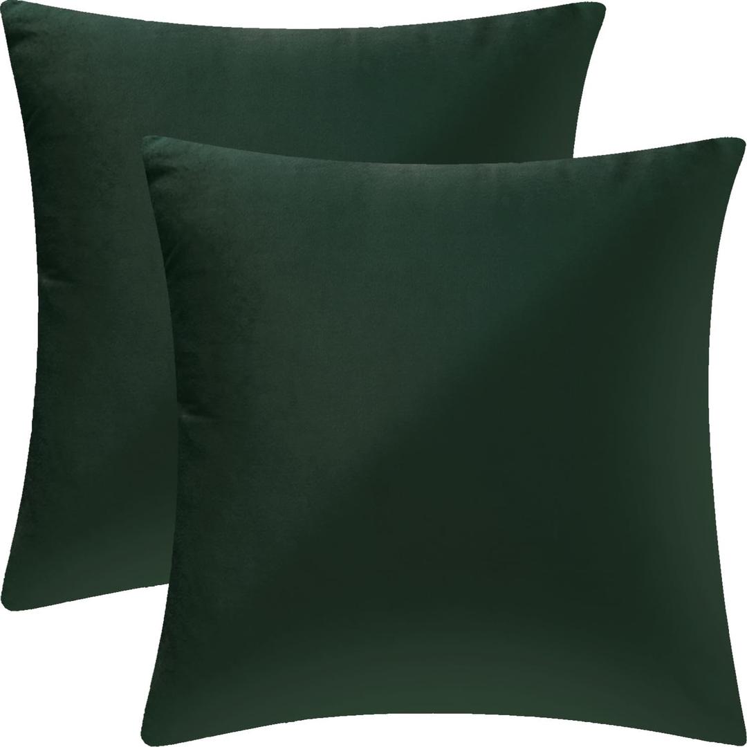 2 Pack 18x18 Pillow Cover Velvet Pillow Covers, Square Throw Pillow Covers for Living Room Decorations Throw Pillow Case, Throw Pillow Cover Cushion Cover for Sofa Bedroom Car, Dark Green Velvet