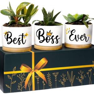 Rosa Vila Boss Planters, Best Boss Ever Gifts, Boss Lady Gift for Women, Cool Presents for Her, Appreciation Gift for Women, Ideal for Birthday, Ready