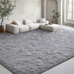 EVOIONOS 5x7 Washable Large Area Rug for Living Room, Fluffy Shag Rug for Bedroom, Ultra Soft Plush Non Slip Carpet for Indoor Floor Bedside Nursery Kids Girls Room Dorm, Home Decor Aesthetic, Grey