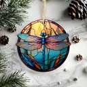 10 x Dragonfly Ornaments, 2D Flat Printed Christmas Ornaments Dragonfly Decor for Home, Dragonfly Christmas Tree Ornaments, Round Dragonfly Ornaments for Dragonfly Lover 3.5 Inches