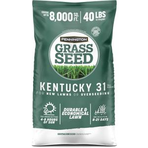 Pennington Kentucky 31 Fescue 40 LB Tall Fescue Grass Seed, Grass Seeds for Lawn (EXP 12/31/36)