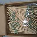200 Pcs Sage Green Easter Spring Party Cocktail Pick 4.7" Toothpick for Appetizer Skewer Sandwich Drink Bamboo Food Pick Martini Stick Garnish Party Bar Catering Accessory Baby Shower Wedding Supply
