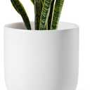 LE TAUCI 10 Inch Plant Pot, Ceramic Pots for Plants with Drainage Hole and Rubber Plug, Plant Pots Indoor for Olive Tree, Cylinder Planter Pot for Home Patio Office, White