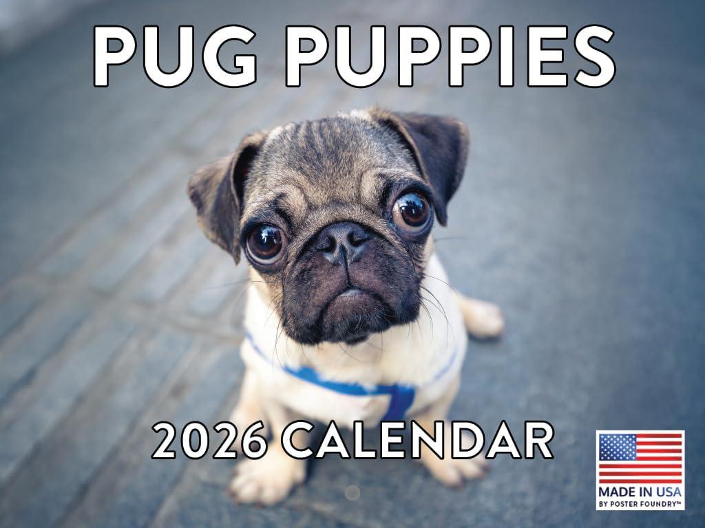 Pug Calendar 2026 Wall Puppies Monthly Pugs Gifts For Pug Lovers For Women Men Children | American Made In The USA