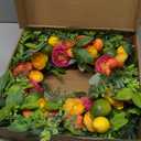 26" Spring Wreaths for Front Door, Large Artificial Lemon Wreath with Yellow and Green Lemons for Indoor Outdoor Wall Window, Outside Summer Floral Wreath Decor for Home Porch