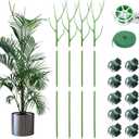 4 Pack 39.37" Detachable Twig Plant Support Stakes Set, Blends in to Plant, Branch Plant Sticks with Orchid Clips Twist Plant Ties, Twig Trellis for Indoor Outdoor Plants Potted Plants Flower (Green)