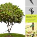 Heavy Duty Tree Stake Kits, 11.8 Inch Steel Tree Stakes and Supports for Young Tree Anti Strong Wind, Leaning Tree Anchor Straightening Kit with 3 PCS Steel Stakes, 13.12 Feet Rope and Tree Straps