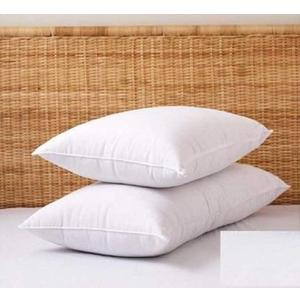 Pillow, 2 Packs, 24×16", White
