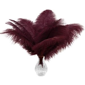 Piokio 20 pcs Burgundy Ostrich Feathers 12-14 inch(30-35 cm) Bulk for and DIY Clothes Decoration, Gatsby Decorations Wedding Party Centerpieces, Easter