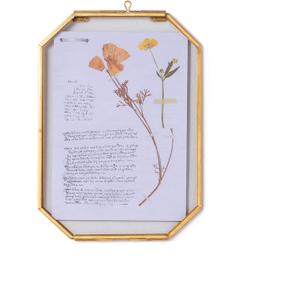 NCYP Small 5 x 7 inch Floating Glass Frame with Chain for Picture, Photo, Pressed Dried Flowers, Plant Specimen - Vintage Octagon Home Gallery Wall Mounted Decor, Gold (Glass Frame Only)