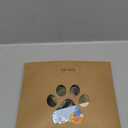 KOOLTAIL Dog Socks Shoes for Hot Pavement to Prevent Licking Paws, Winter Dog Boots&Paw Protector for Hardwood Floors Anti Slip, Traction Control Grip Booties for Small, Medium Senior Dog, Green SM