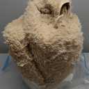 6x9 Rugs for Living Room, Large Fluffy Area Rugs for Bedroom, Soft Carpet Shag Kids Room Rug, Non-Slip Fuzzy Rugs Indoor (Light Tan, 6ft x 9ft)