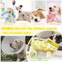 Dog Surgery Recovery Suit, Abdominal Surgical Suit for Male Female Dog Post Spay Neuter, Breathable Pet Onesie E-Collar & Cone Alternative, Surgery Shirt to Prevent Licking, Yellow, X-Large