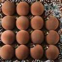Liliful 15 Pcs Velvet Christmas Balls Bulk Flocked Christmas Tree Ball Ornaments Plastic Xmas Decorative Hanging Ornaments(Brown,3.15 Inch)