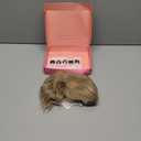 MORICHY 10 Inch Short Wavy Hair Topper for Women, Lightweight & Breathable Wiglet for Thinning Hair with 6.5"x6.5" Base, Instantly Adds Volume and Coverage (Ash Brown with highlights)