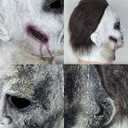 WPOZD Halloween Michael Myer Mask, Latex Horror Scary Masks for Adult Cosplay, Great for Costume Parties, Easter