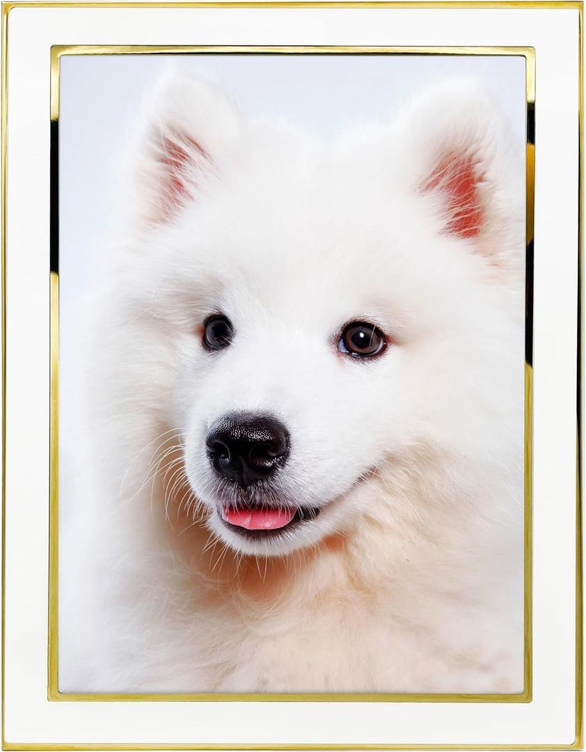 8x10 Picture Frames White Metal Photo Frames For Tabletop Display and Wall Decoration-Best Gifts For Family
