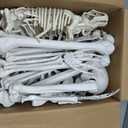 5.4Ft Posable Halloween Skeleton with Dog Cat Skeleton for Halloween Decor Full Body Life Size Human Bones with Movable Joints, Size: 65IN