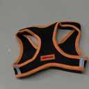 Best Pet Supplies - All Weather Mesh, Reflective, No Pull Harness for Small, Medium Dogs, Cats - Secure with Hook & Loop Fastener, Buckle, Double D-Rings - Black/Orange Trim, (L (Chest: 18 - 20.5"))