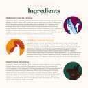 Made by Nacho Wet Cat Food Variety 12 Pack (3oz Each), Cage-Free Chicken, Sustainably Caught Salmon, Grass-Fed Beef with Bone Broth for Extra Hydration, Gravy Cut Pouches