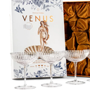 Venus Seashell Coupe Cocktail Glasses | Set of 3 | 8 oz Crystal Ribbed Champagne Saucers for Drinking P-Star and Espresso Martini, Margarita, Daiquiri, Cosmopolitan, Gimlet | Elegant Gift Glassware