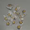 24 Pcs Miniature Sea Turtles Sea Turtle Figures Ocean Animal Figurines Mini Turtle Figurines for DIY Home Fairy Garden Office Fish Tank Birthday Party Favor Decorations