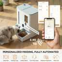 iPettie FW54 Camera Version Automatic Cat Feeder and Water Dispenser, 5G/2.4GHz WiFi App Control, 2K HD Video with Night Vision, Replaceable Water Filter, 300oz Large Capacity for 2 Weeks