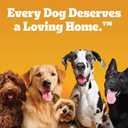 Pedigree High Protein Adult Soft Wet Dog Food Variety Pack, 3.5 oz. Pouches, 30 Count (EXP 08/01/26)