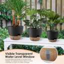 QRRICA Self-Watering Plant Pots with Water Level Indicator, Drainage Holes & Saucers 12/10/9 Inch Large Plastic Planter Set for Indoor & Outdoor Plants(Black)
