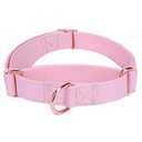 Soft Leather Martingale Dog Collar - Adjustable Rose Gold Limited Slip Collars [Easy to Clean], Stylish Durable Heavy Duty Nylon No Pull Training Collar for Small Medium Large Dogs XS Pink