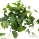 LOYWREE Artificial Scindapsus Aureus Fake Pothos Plants in Black Pots - Realistic Faux Indoor Greenery for Home, Office, Desk, Shelf, Living Room, Bedroom, Balcony, Patio & Garden Decor