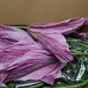 Giant Artificial Flower 3PCS 3D Realistic Waterproof Fake Flowers Durable Easy Maintenance Perfect for Home Garden Weddings Events Christmas Graduation Party Decorations (Swallow-Mauve)