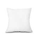 Throw Pillow Insert, Lightweight Soft Polyester Down Alternative Decorative Pillow, Sham Stuffer, Machine Washable. (White, 24"x24")