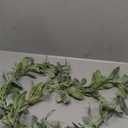 Tinsow 6.2 ft Artificial Lambs Ear Garland Lambs Ear Greenery Vine Flocked Leaf Garland Autumn Faux Vine Fall Boho Greenery and Leaves for Harvest Festival Farmhouse Mantle Home Decor