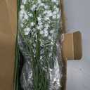 Babys Breath Artificial Flowers,12 Pcs Gypsophila Real Touch Flowers for Wedding Party Home Garden Decoration (White)