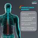 TYNOR Back Support Belt Adjustable Back Brace for Lower Back Pain,Breathable Lumbar Support Belt for Men & Women, Lower Back Brace for Herniated Disc, Sciatica & Heavy Lifting (XXL, Classic Black)