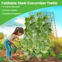 Foldable Cucumber Trellis - 2 Pack, 48" L x 34" W A-Frame Trellis, Climbing Plants Support Raised Bed Trellis with Twist Ties & Plant Bags for Outdoor Yards Gardens