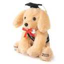 2-pk class of 2025 graduation bear and puppy  with cap and diploma 10 in.