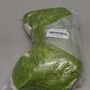 Wgxzyq 16inch Crocodiles Stuffed Animal Plush Toy, Birthday Xmas Gift for Kids (Crocodiles)