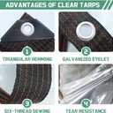 Clear Tarp 8x12ft Heavy Duty 8 Mil Vinyl Waterproof, UV & Tear Resistant with Rust-Proof Grommets for Chicken Coop, Greenhouse, Patio & Porch Enclosure