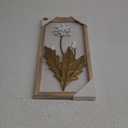 Metal Flower Wall Art Decor 15 Inch White and Gold Floral Sculpture Iron Wall Hanging Decoration