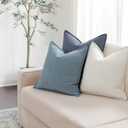 ZWJD Throw Blue Pillow Covers 20x20 inch Set of 2 Chenille Pillow Covers with Elegant Design Soft and Luxurious Decorative Throw Pillows for Couch, Bed, and Home Decor (Light Blue)