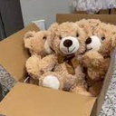 6 Teddy Bears With 6 Glass Jars Decoration