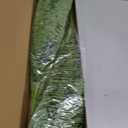 FOREST PRINCE 35" Ferns Artificial Bush Plants Large, 2 Artificial Boston Ferns with 39 Fronds for Outdoors Home Decor