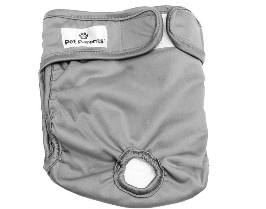 Pet Parents Washable Dog Diapers (2pack) + Extendrs of Durable Doggie Diapers, Premium Dog Diapers Female (Medium, Natural) (Medium (14-20"))