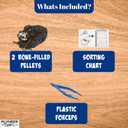 Pioneer Owl Pellet Dissection Kit with Pellets and Tools