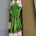 30pcs Real Touch Tulips PU Artificial Flowers, Fake Tulips Flowers for Arrangement Wedding Party Easter Spring Home Dining Room Office Decoration (Light Pink)