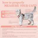 rabbitgoo Cat Harness and Leash for Walking, Escape Proof Soft Adjustable Vest Harnesses for Cats, Easy Control Breathable Reflective Strips Jacket, Light Salmon Pink, XS