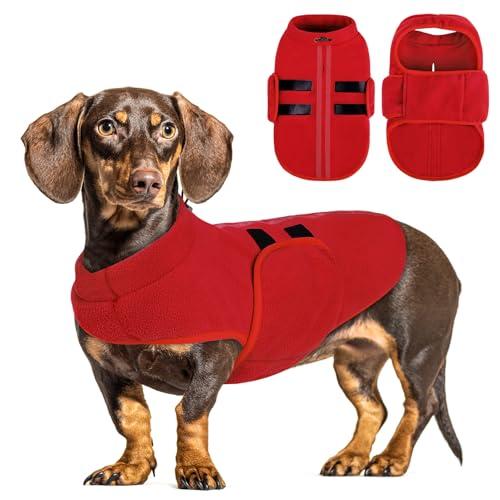 Queenmore Soft Fleece Dog Jacket, Warm Winter Dog Clothes with Leash Hole, Dachshund Sweater for Small Dogs Cats Boy or Girl (Red, S)