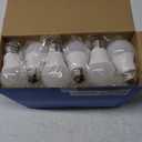 Energetic 24-Pack A19 LED Light Bulb, 60 Watt Equivalent, Daylight 5000K, E26 Medium Base, Non-Dimmable LED Light Bulb, ETL Listed